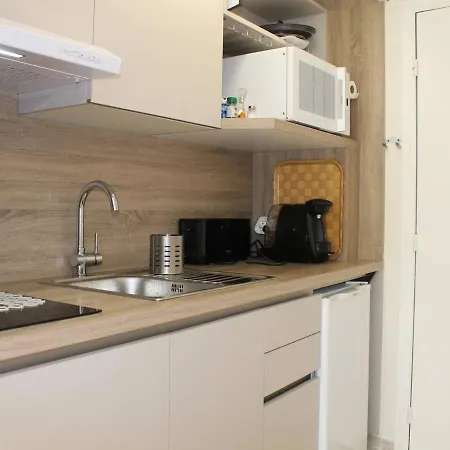 Apartment En Rdj, Terrasse, Jardin, Proche Et Commerces, Plein Sud, 2 Couchages - Fr-1-252a-49 Villeneuve-Loubet